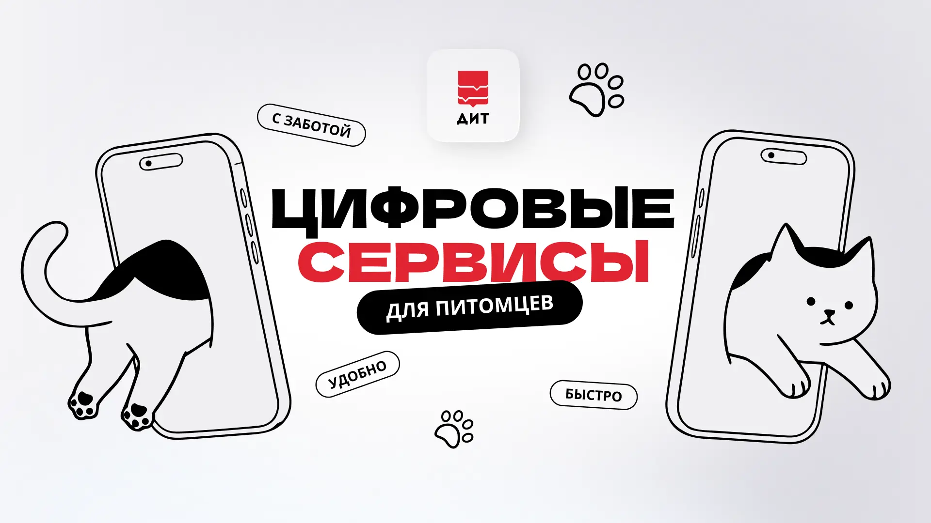🐈 Все котики заслуживают заботы — и те, что мурчат дома, и те, кому только предстоит найти своих хо