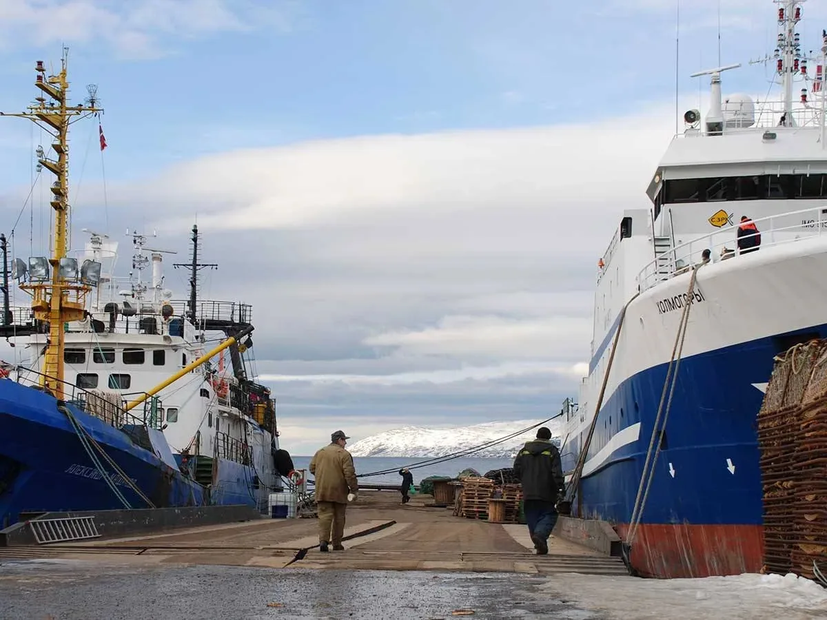 Мурманская компания «Полярное море+» получила право поставлять рыбу в Саудовскую Аравию.

После одоб