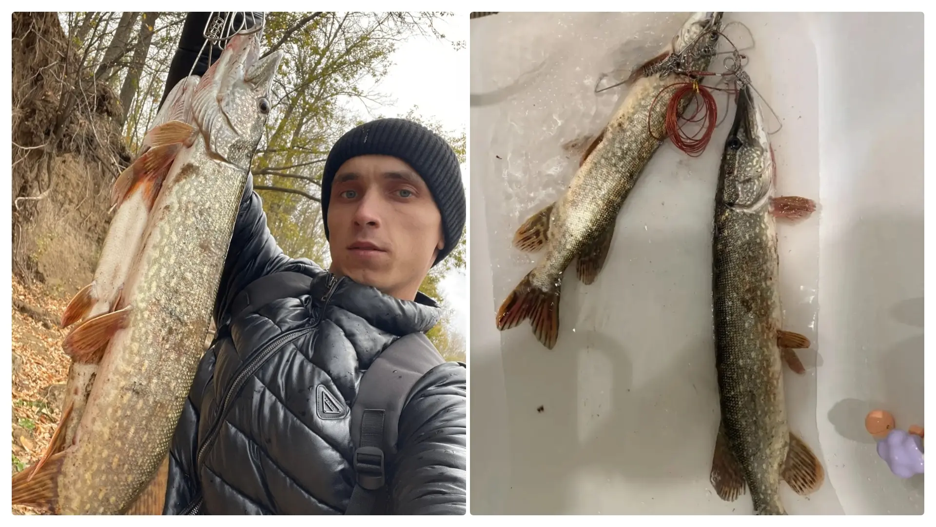 Уловы рыбаков в Инорсе🎣
