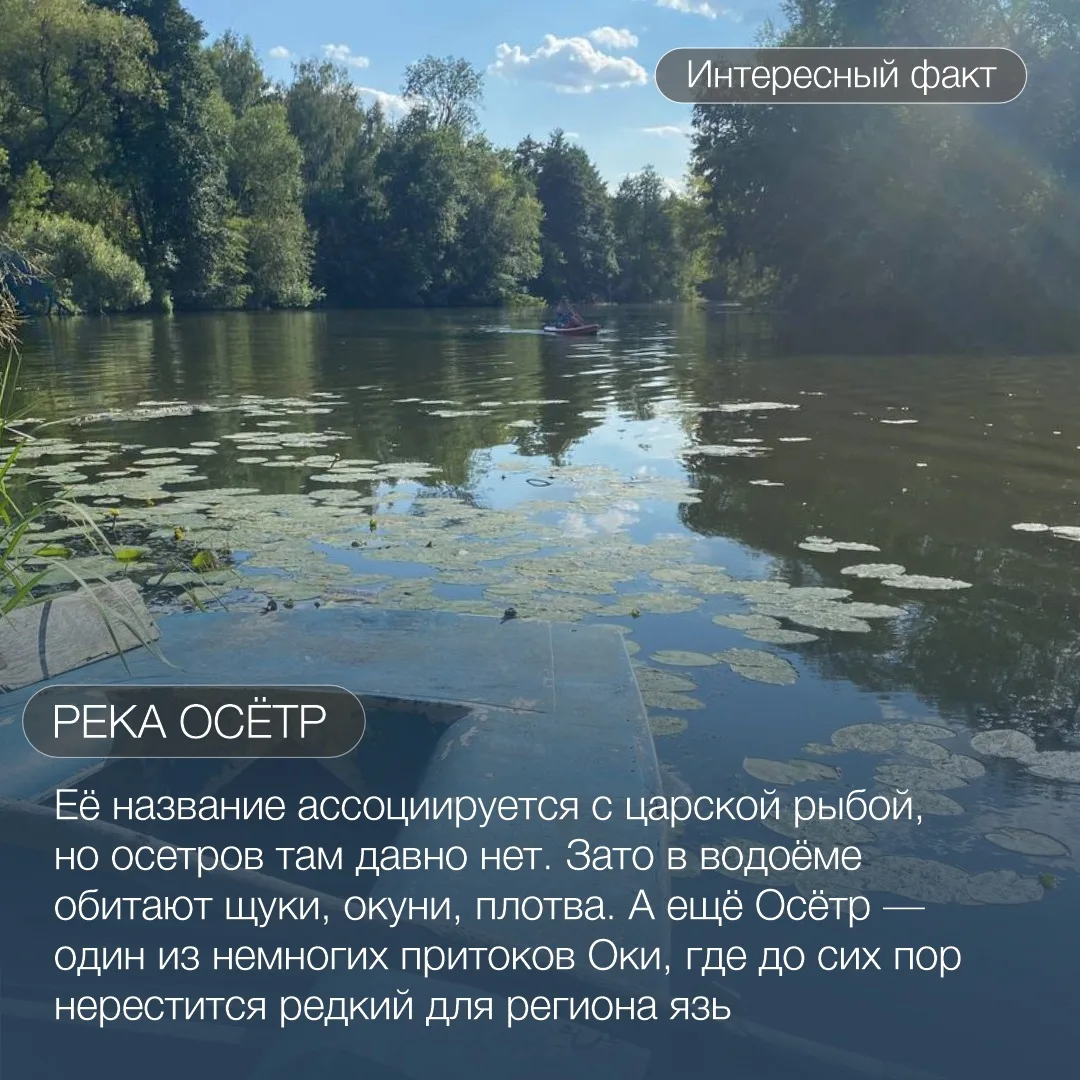 🌊 Продолжаем рубрику о водных богатствах Рязанского края и знакомимся с рекой Осётр — ...