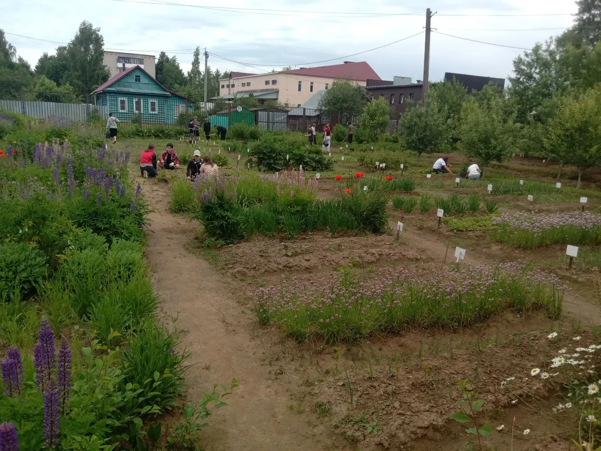 🌞Подошла к концу первая смена работы на пришкольном участке отряда "Улыбка".
💫После зарядки ребята