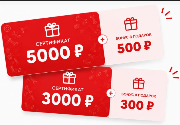 Купи подарочные сертификаты* и получи акционные бонусы**: