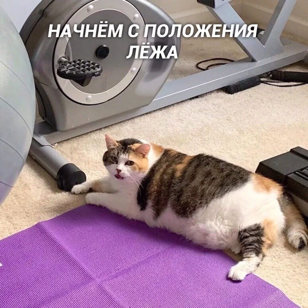 #мыслиавтора