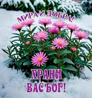 Смиренный видит других выше себя.