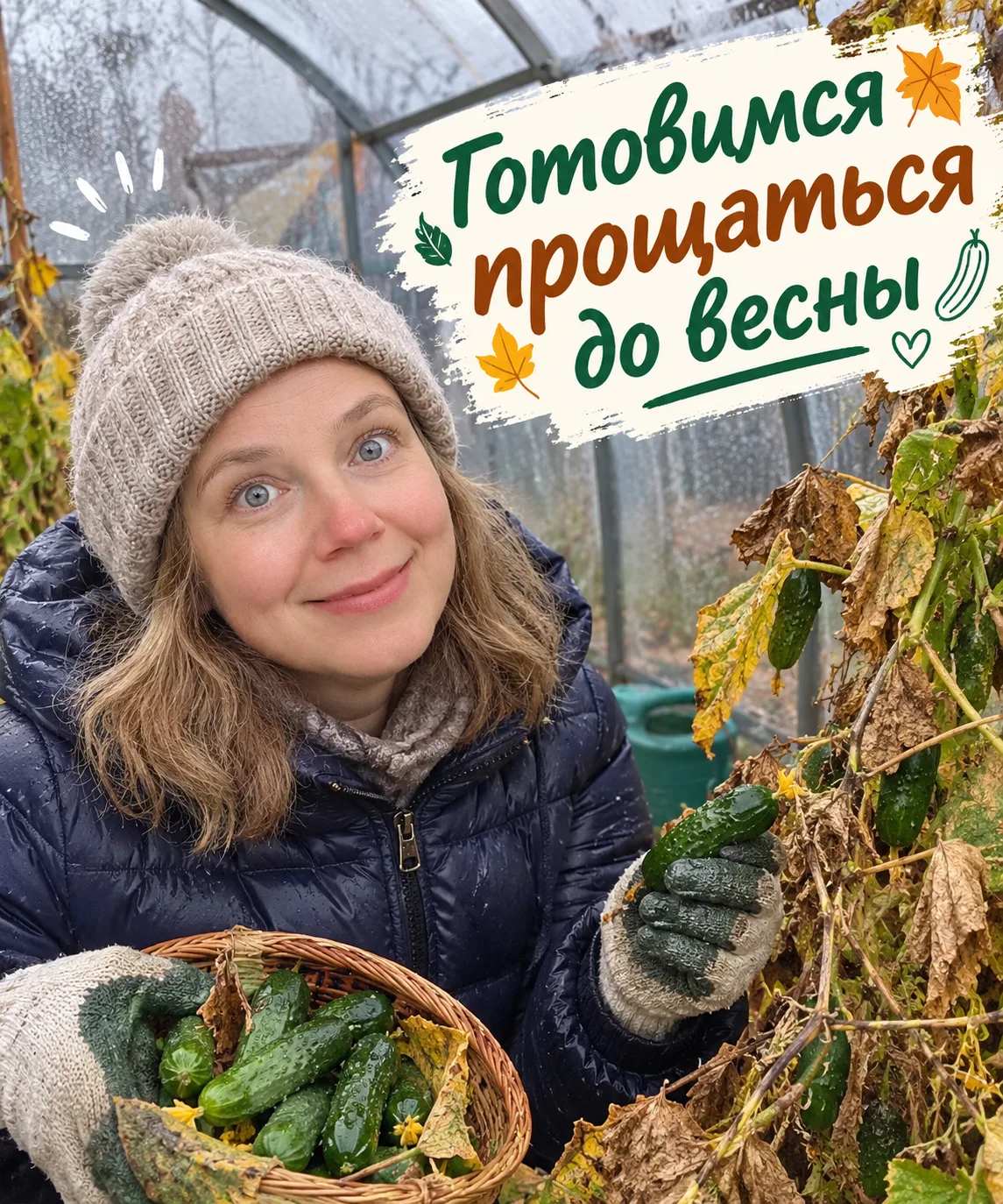 🍂 Берёзы уже стоят голые, но у них свой жизненный цикл, по длине светового дня ориенти...