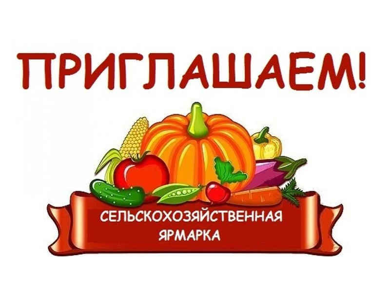 Уважаемые жители и гости города Салават!