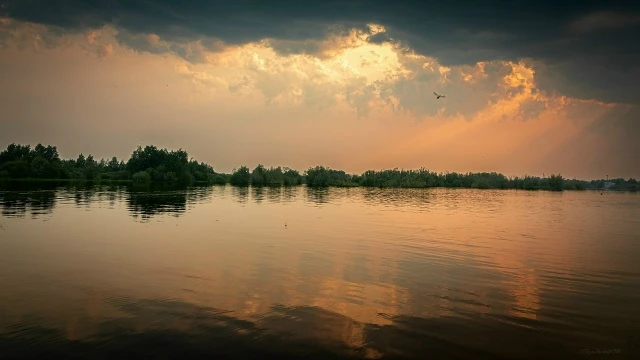 СТРЕЖЕВСКИЕ ЗАРИСОВКИ 📸👍