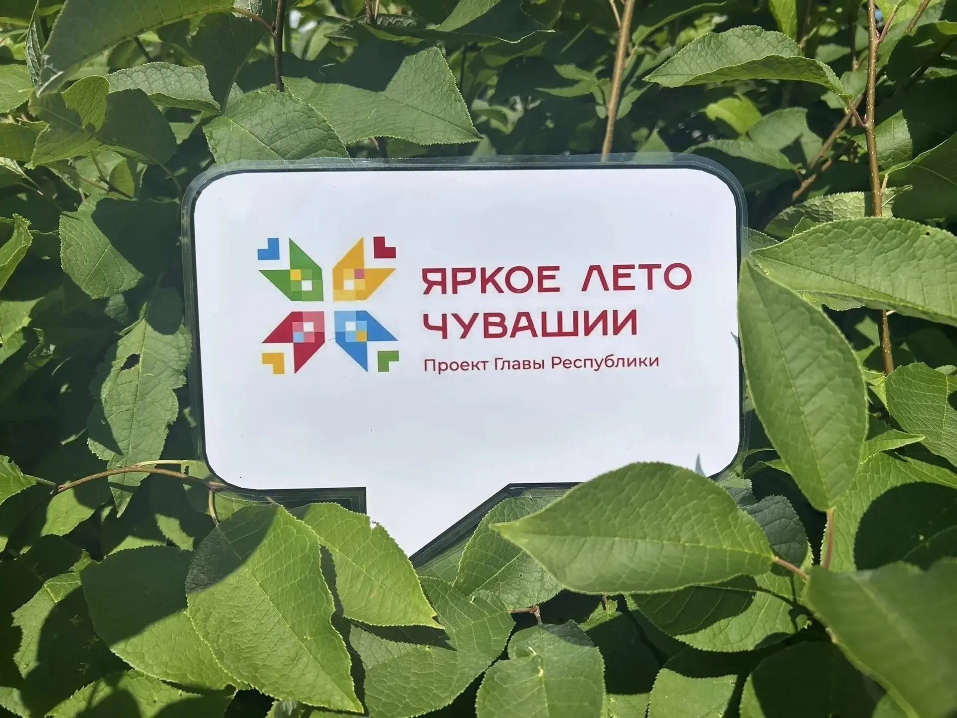 Уважаемые жители Ибресинского округа!