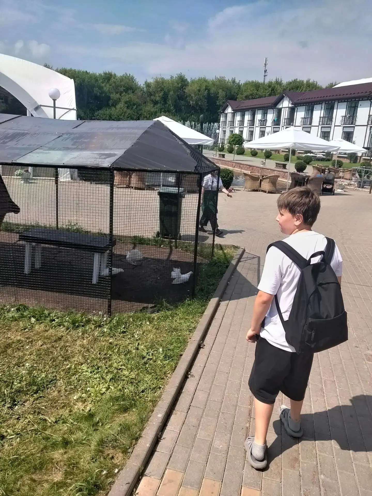 Сидельников Александр, учащийся 4В. Маленькие радости большого лета ☀️

Лето для меня — это когда вр