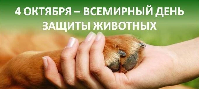 💥Всемирный день защиты животных