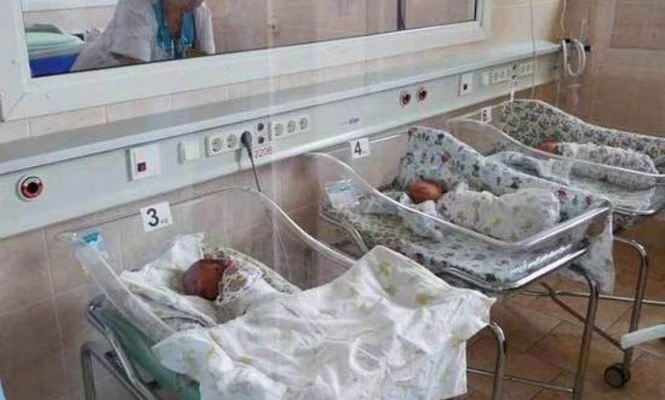 Одна двойня родилась в Карелии в сентябре.