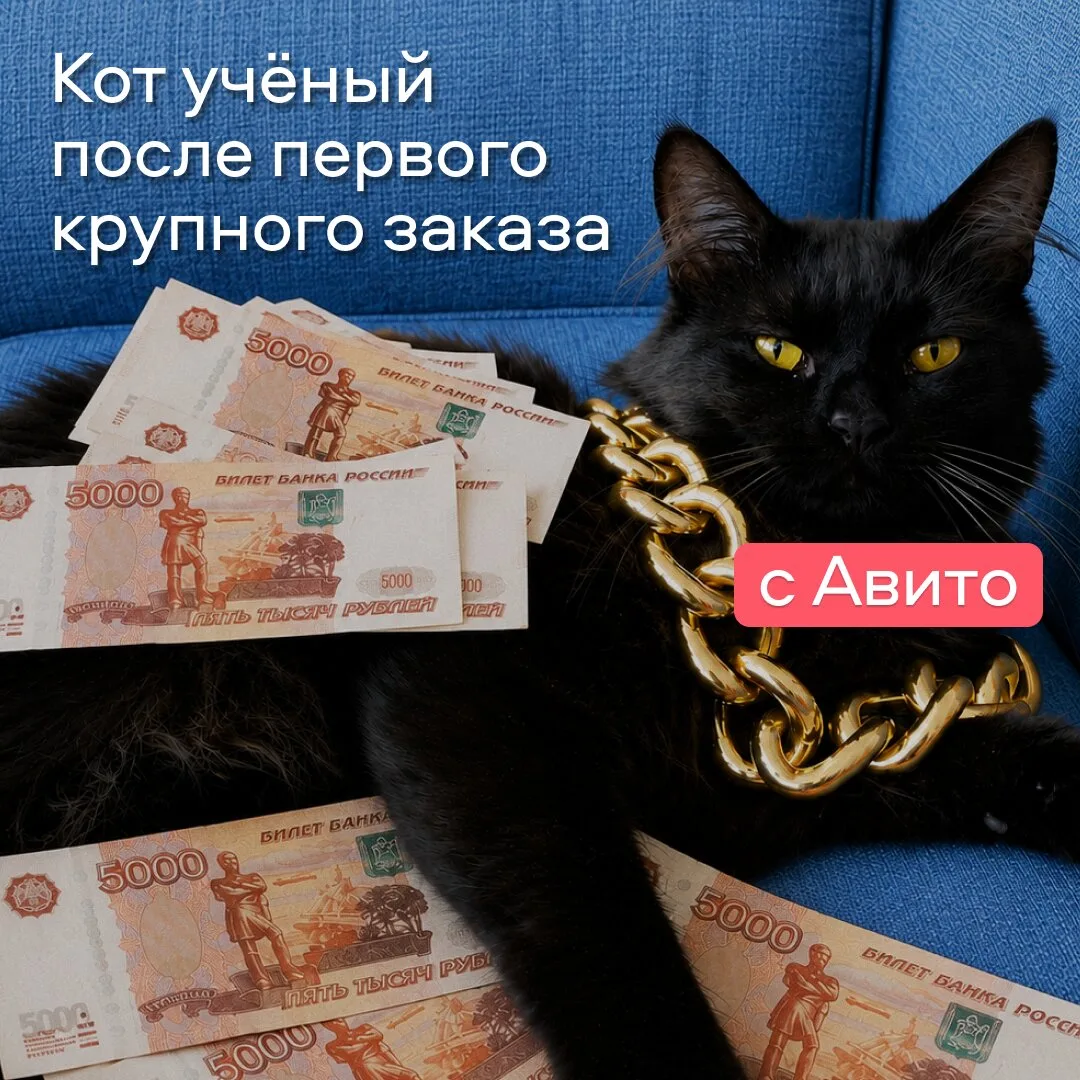 Деловая мудрость приходит с опытом