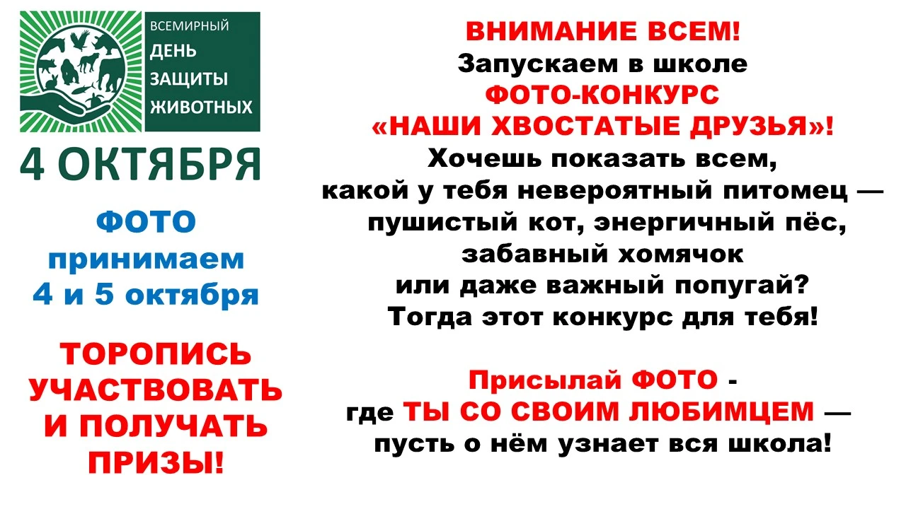 ВНИМАНИЕ ШКОЛА!