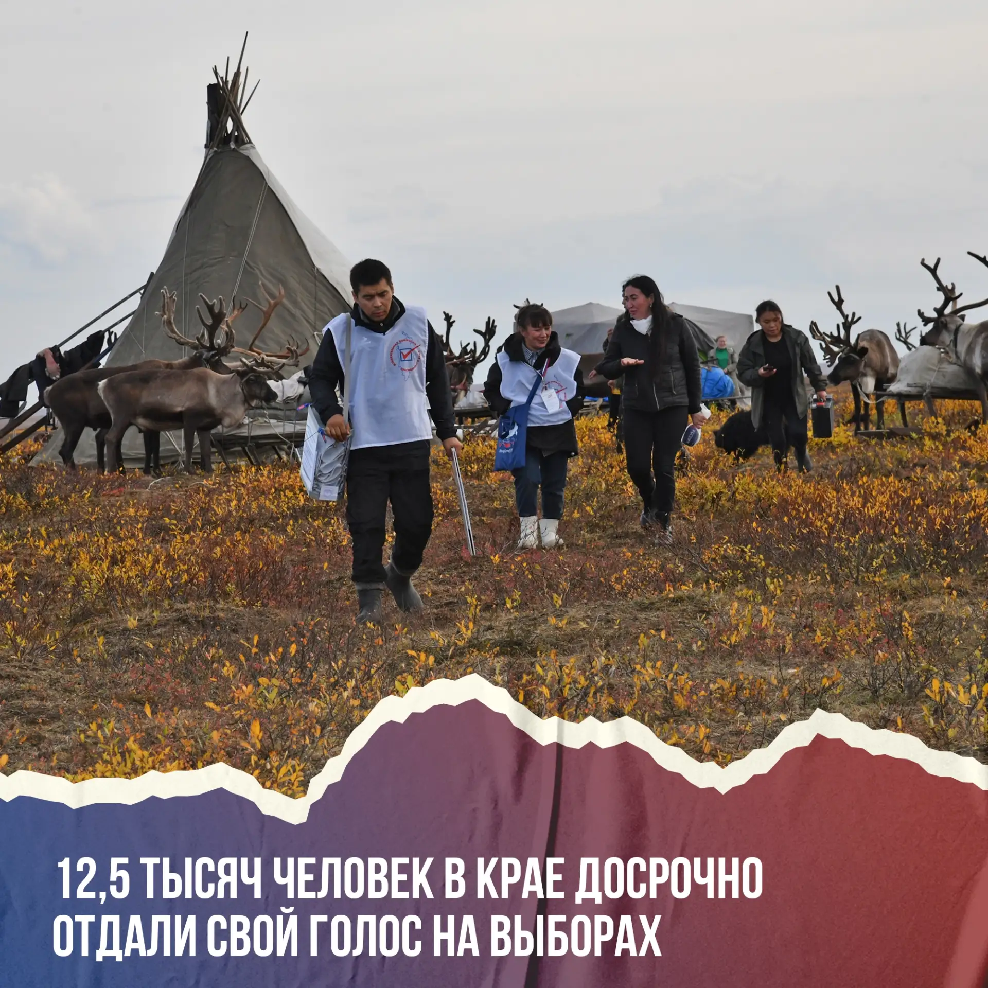 В Красноярском крае 12,5 тысяч человек проголосовали досрочно 🗳