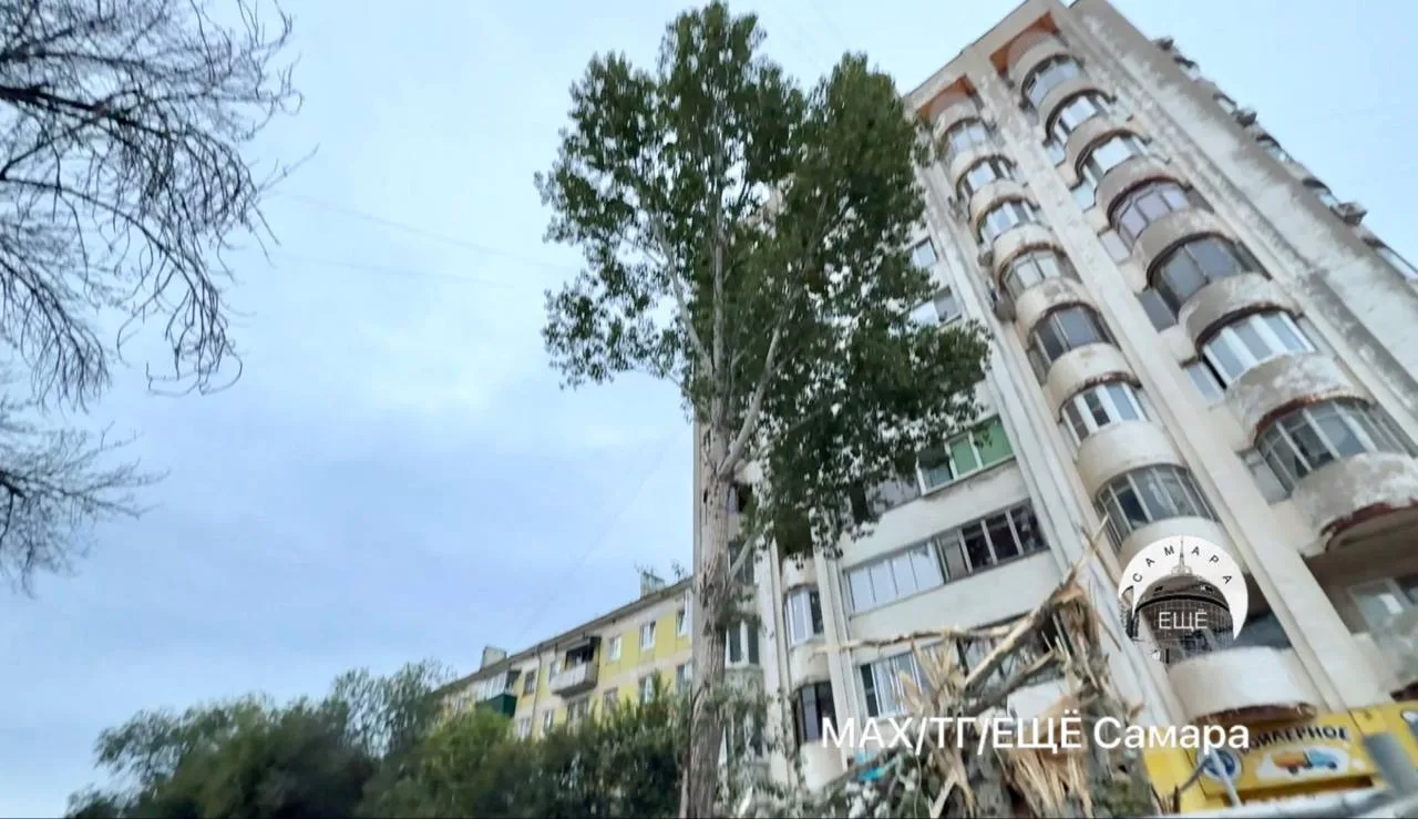 Сегодня в городе стало еще на одно дерево меньше — три тополя на Аэродромной спилили. З...
