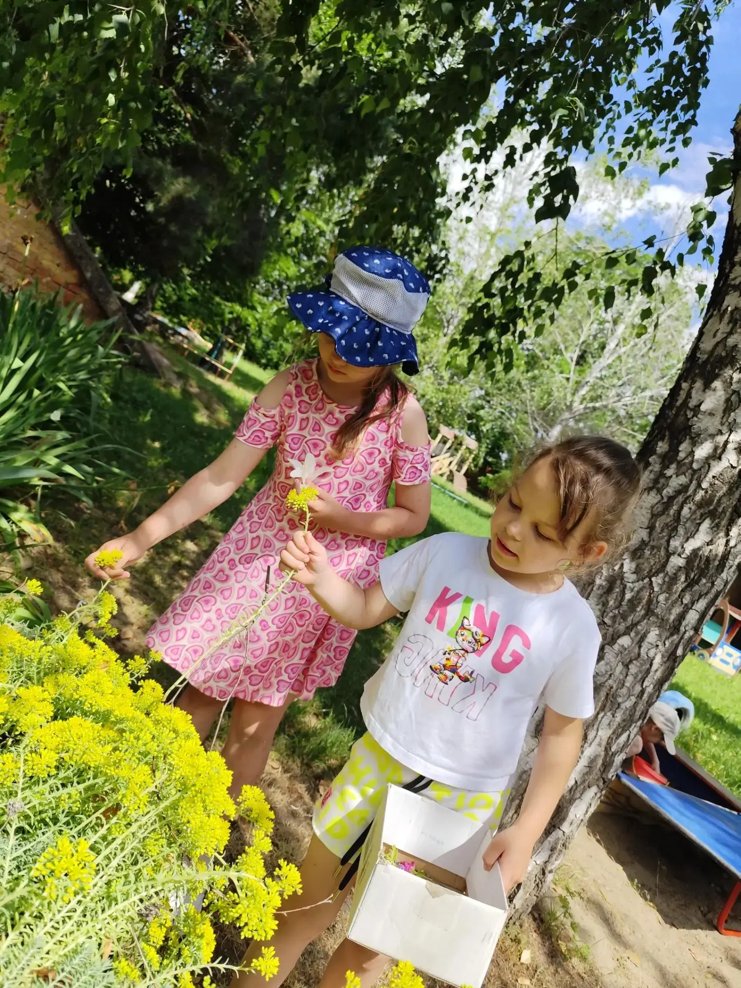 Летний пленэр в старшей группе: «Цветы для наших ваз»☀️🌼 

🌿 Лето — прекрасное время для творчеств
