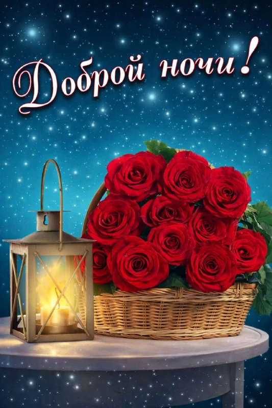 СПОКОЙНОЙ НОЧИ!