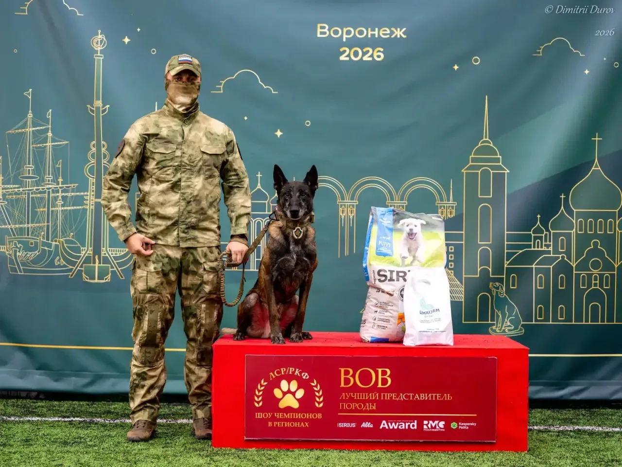 🐕‍🦺 В Воронеже прошла выставка «Лучшие собаки России / РКФ. Шоу чемпионов»