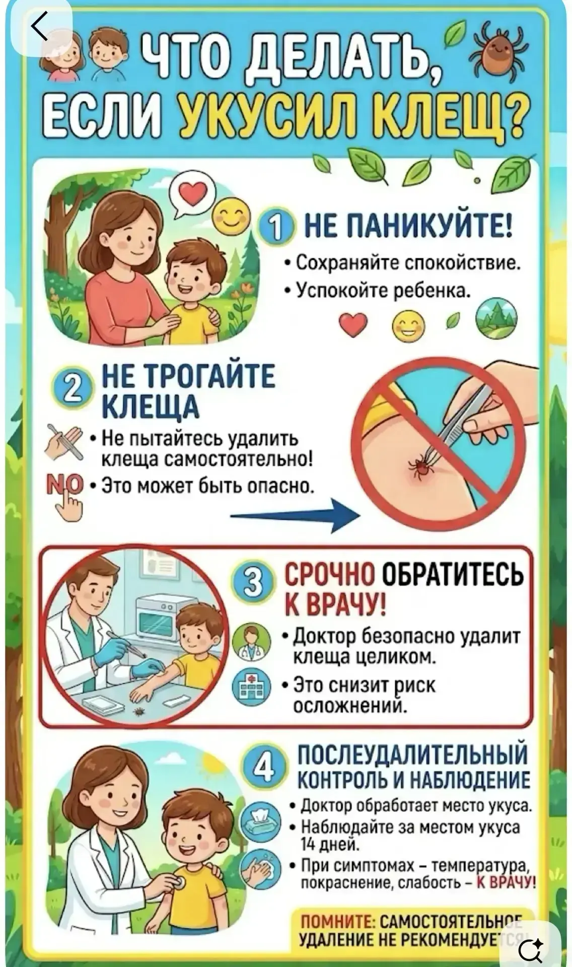 ‼️‼️‼️ Укусил клещ? Без паники! Пошаговая инструкция для родителей.

🌞Лето - время прогулок, но мал