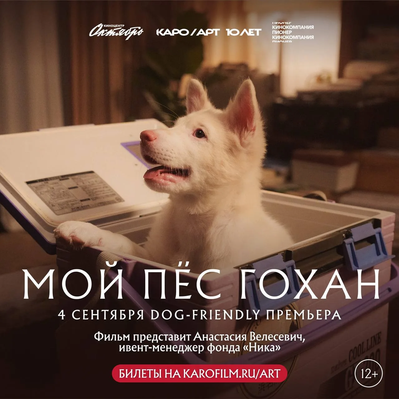 Кто кого на самом деле спасает? 🐾