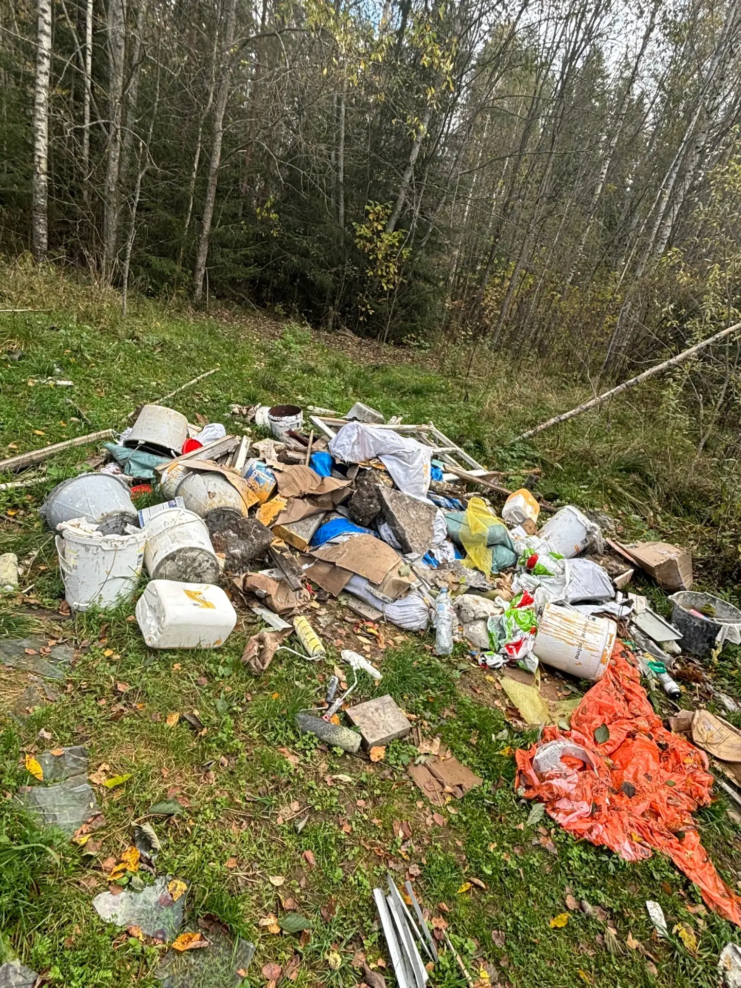 Несанкционированная свалка за хутором Загуляево (дорога через бор, в лесу перед деревян...