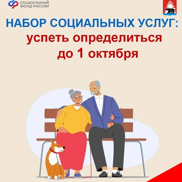 Набор социальных услуг можно получать в натуральном или в денежном виде, а также в смеш...