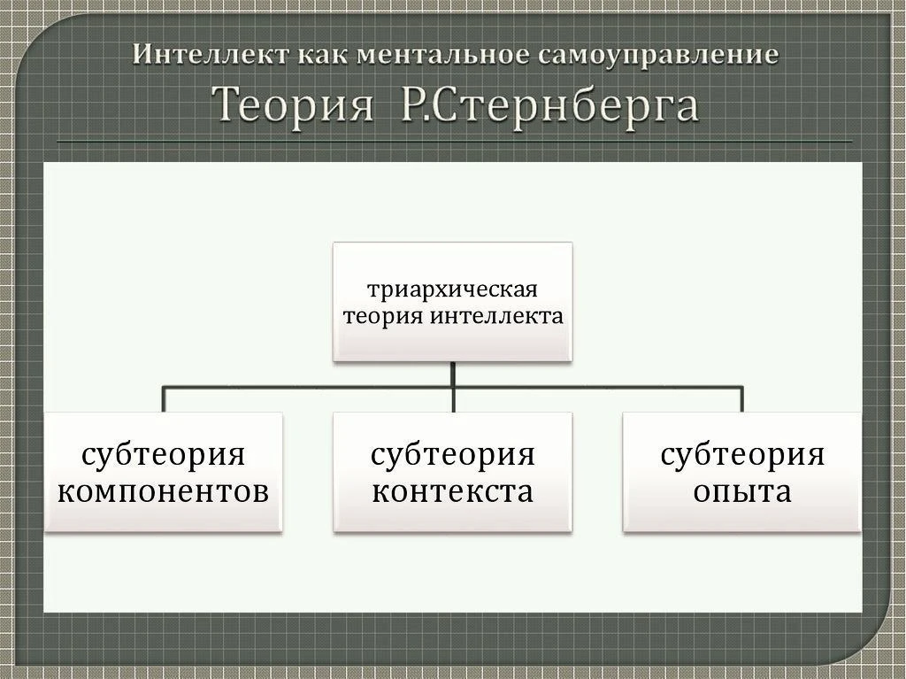 #схемы_term

Теория Р. Стернберга: интеллект 
как ментальное самоуправление

✍ Профессор психологии 
