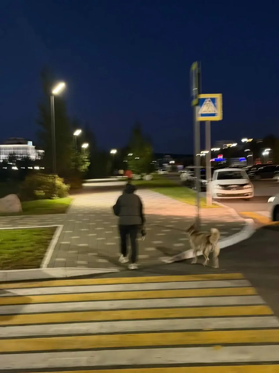 Агрессивный хаски пугает жителей Московского проспекта.