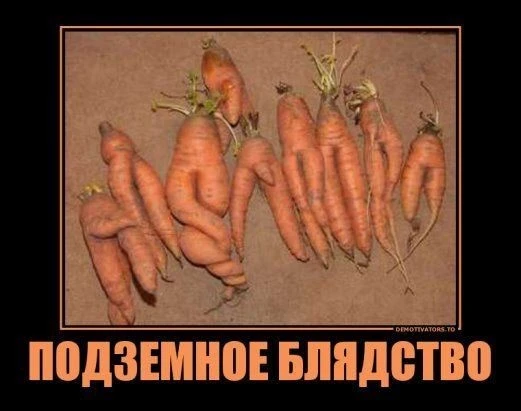 харош смеяться
