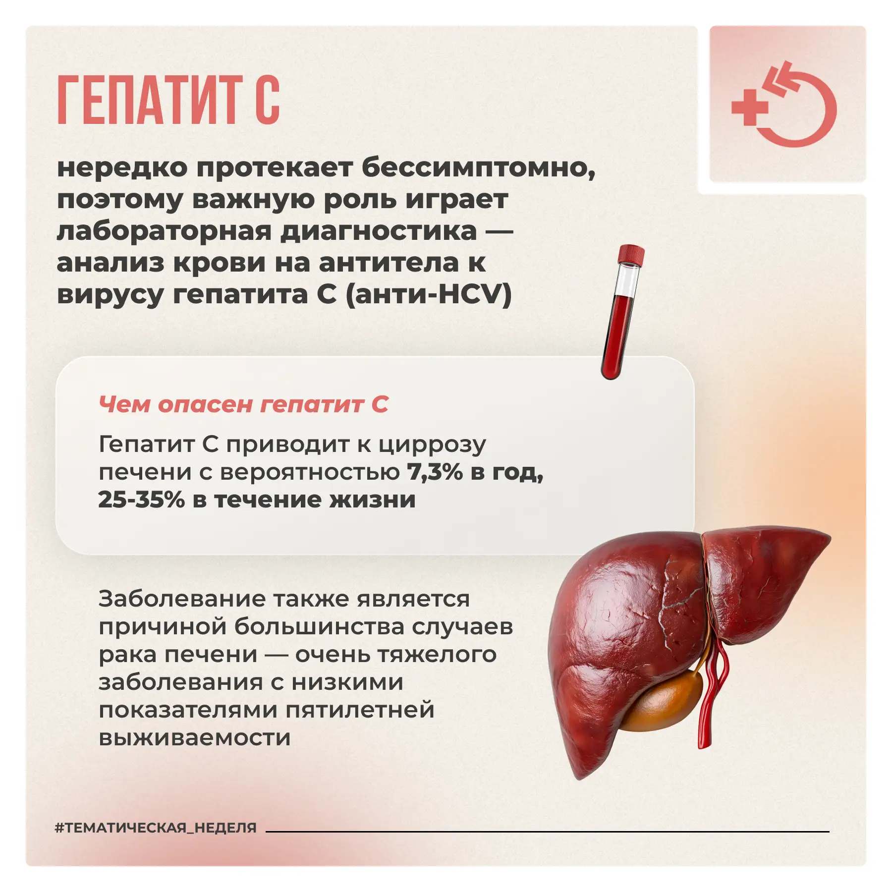Печень – один из главных органов обмена веществ. Она участвует в очищении организма, выработке важны