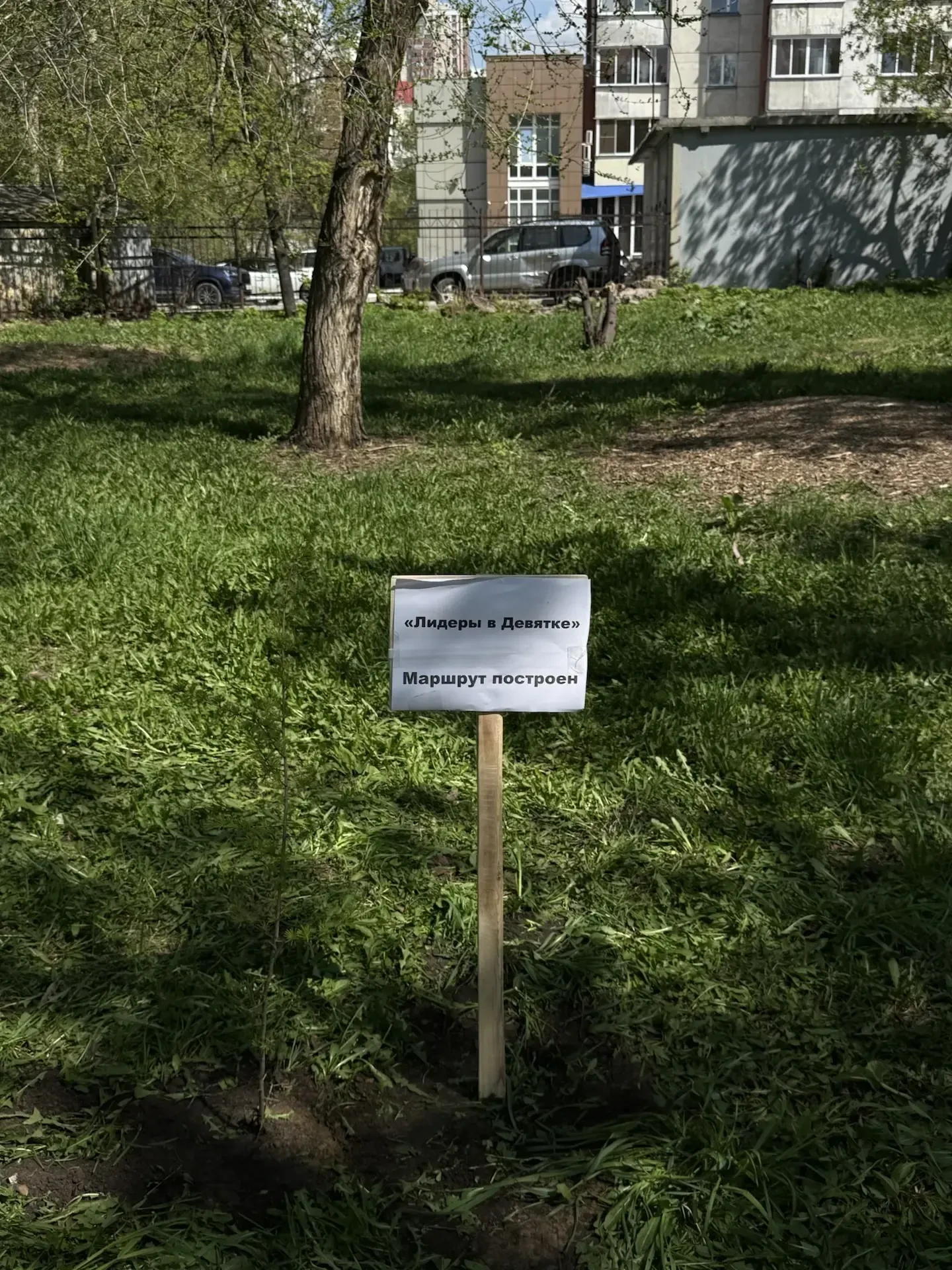 "Маршрут построен": «Зелёный друг»!🌿  👍 Этот день стал знаковым для нас — мы, как лидеры в девятке, 