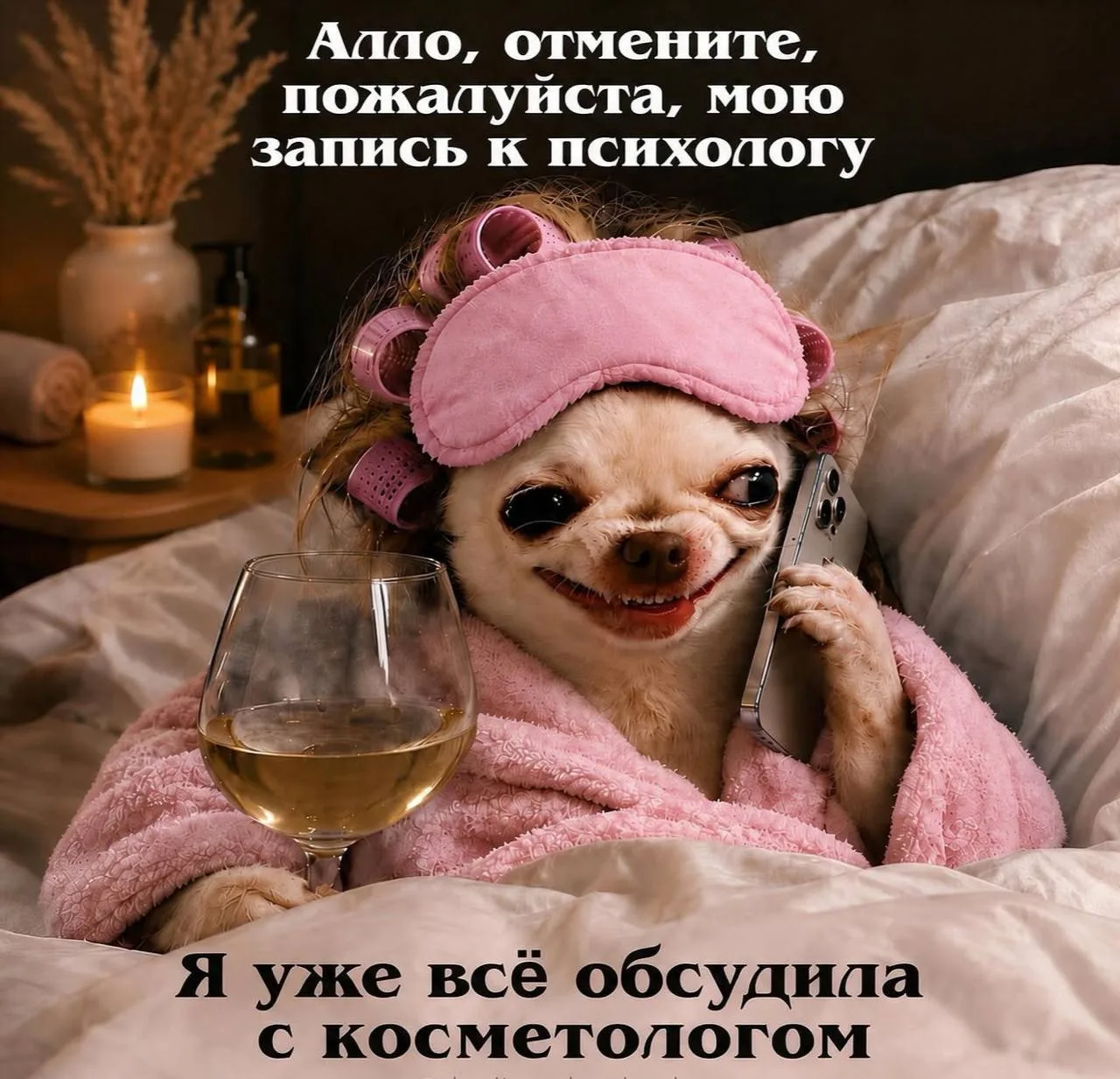 🤣🤣🤣