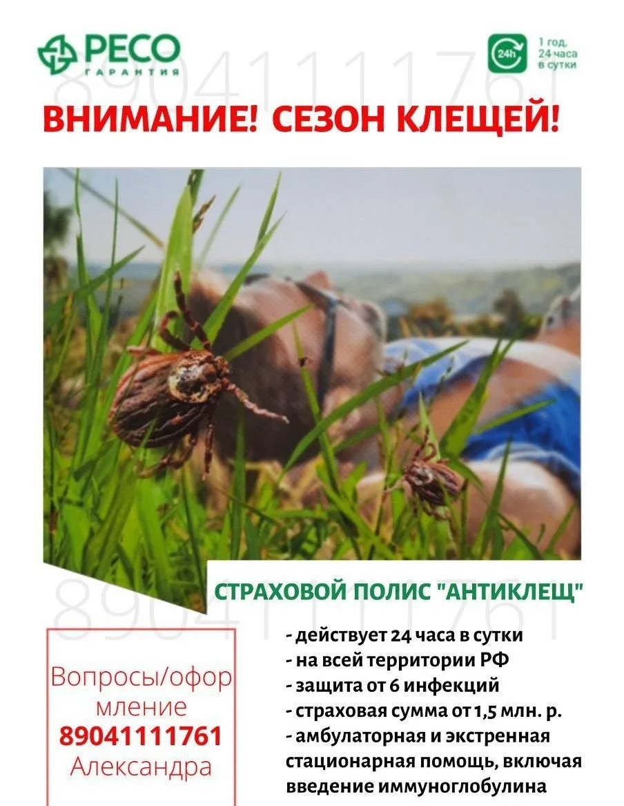 Уважаемые участники группы❤️, может быть, кому-то актуально