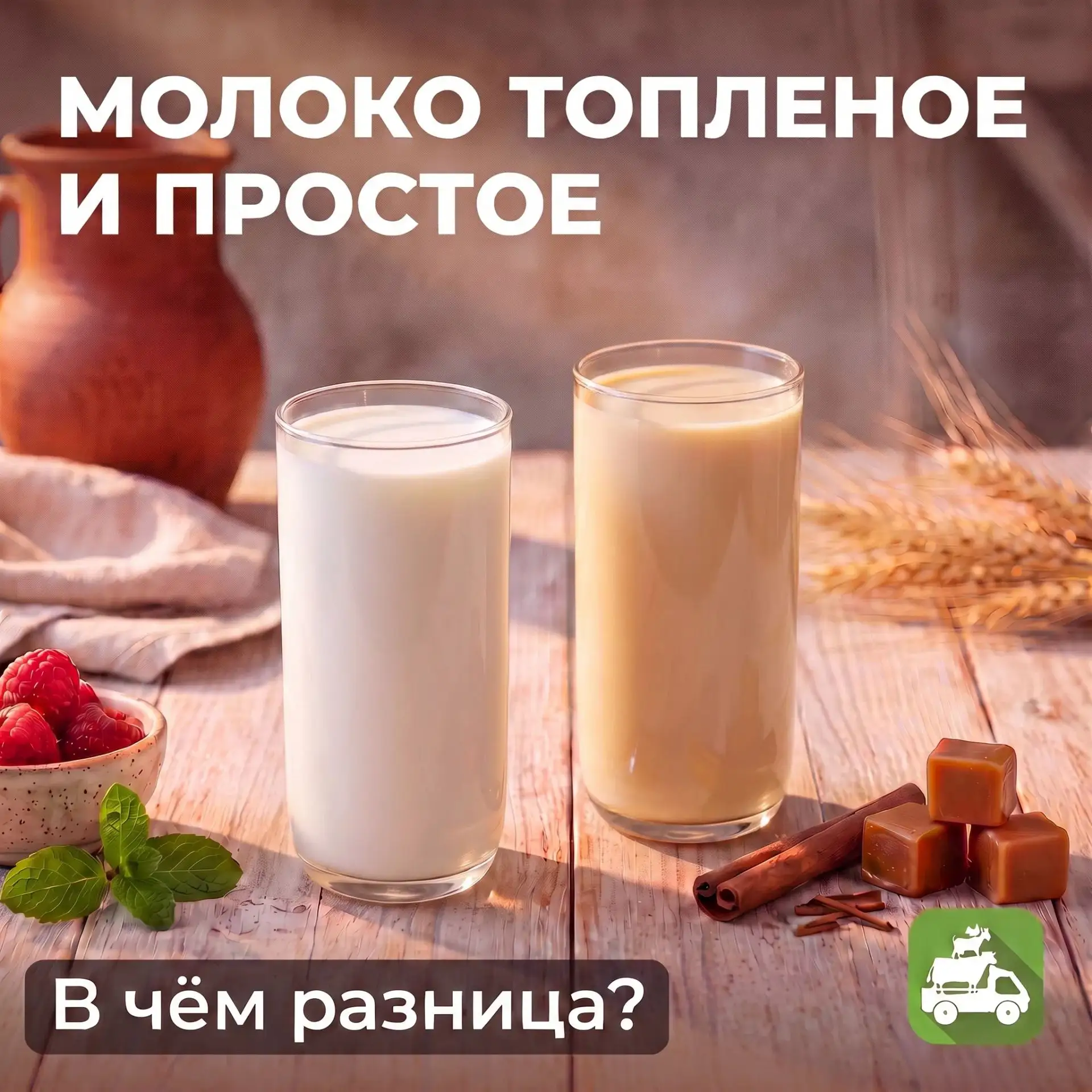 Топленое VS обычное молоко: в чем разница❓