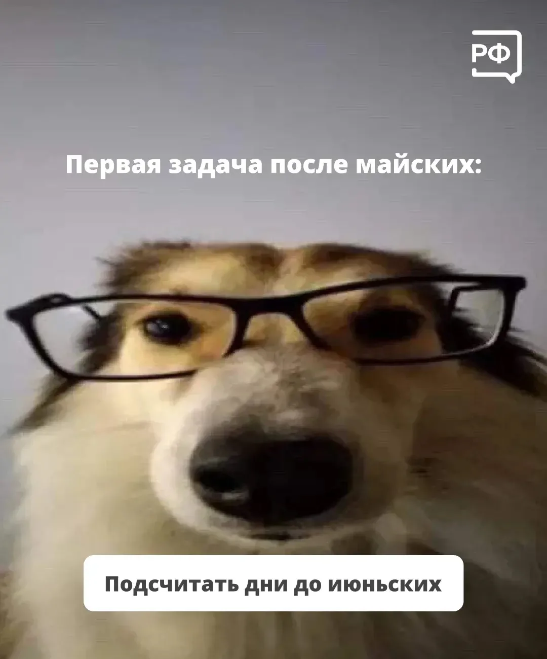 🗓 Майские прошли! Не страшно: впереди уже маячат длинные выходные. День России, 12 июн...