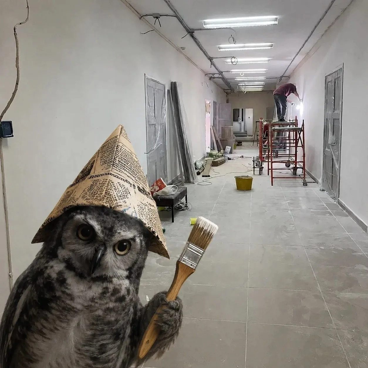 Привет-привет! Это снова я, Лучик 🦉