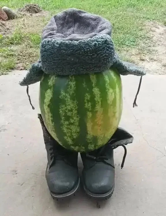 🍉А КАКОЙ СЕГОДНЯ ДЕНЬ? 😋
Лето в самом разгаре, а это значит, что пришла пора самой сочной, сладкой