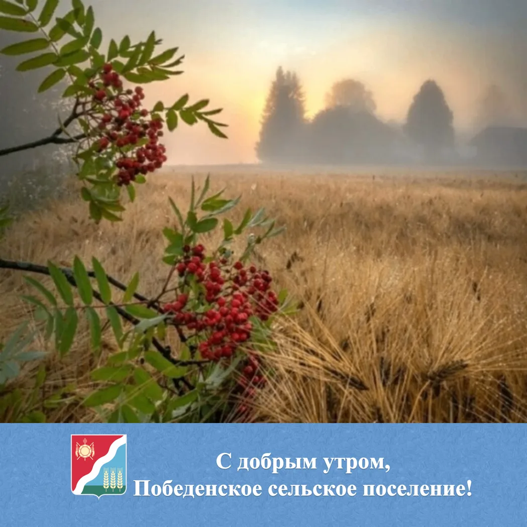 🌟 С добрым утром жители и гости Победенского сельского поселения!