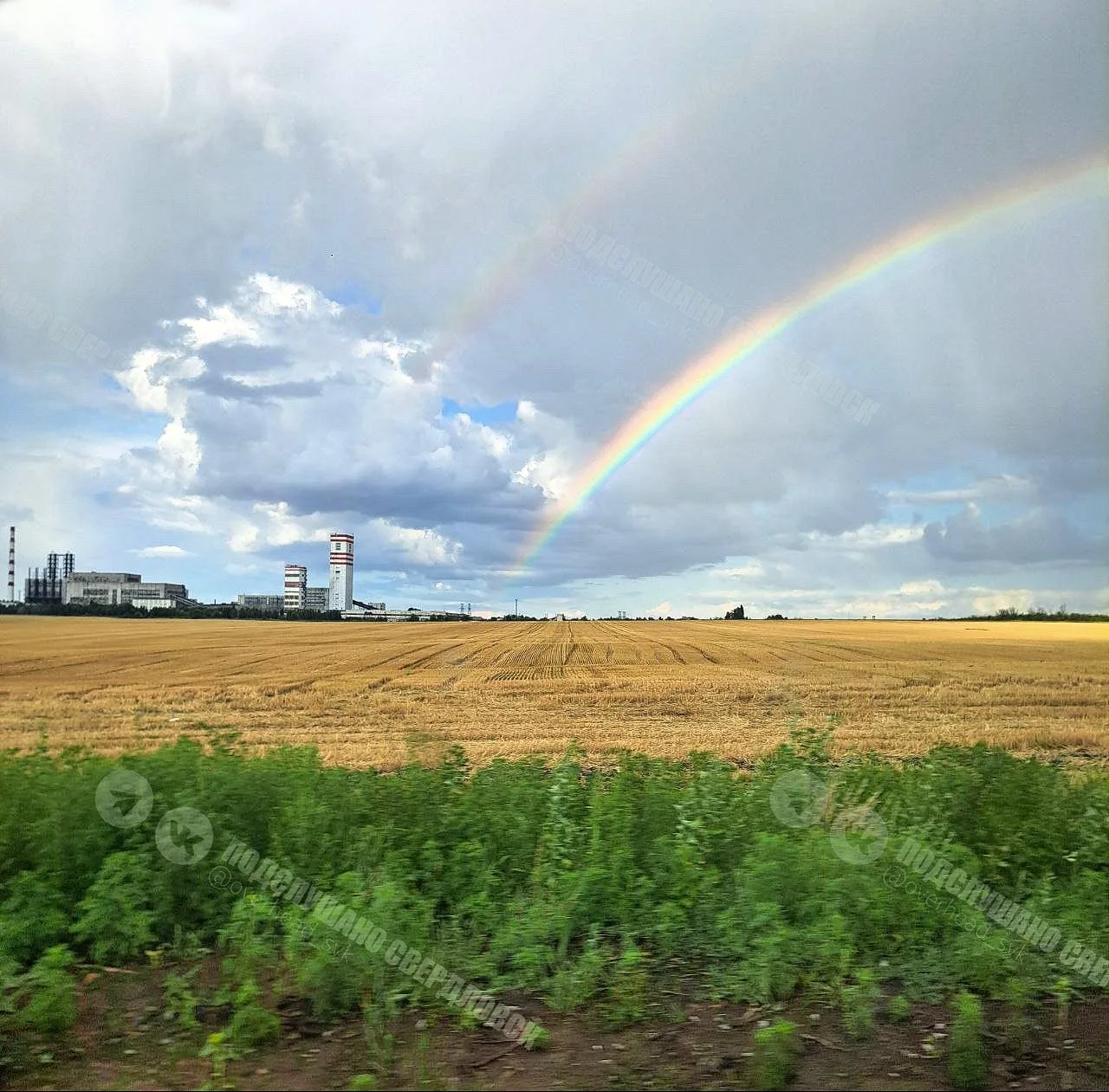 Еще немного красоты от подписчика 🌈