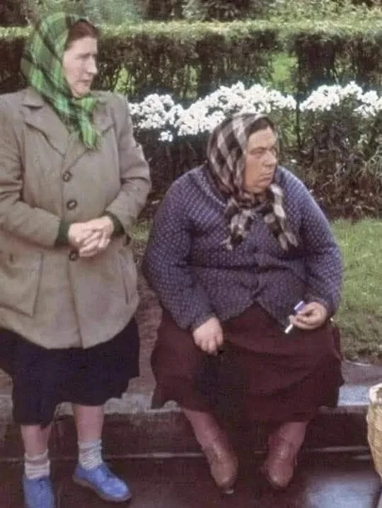 На фотографии 1959 года запечатлены две женщины из колхоза, которые ждут автобус после похода за гри