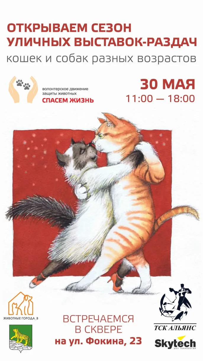Доброе утро, дорогие друзья! 🌞