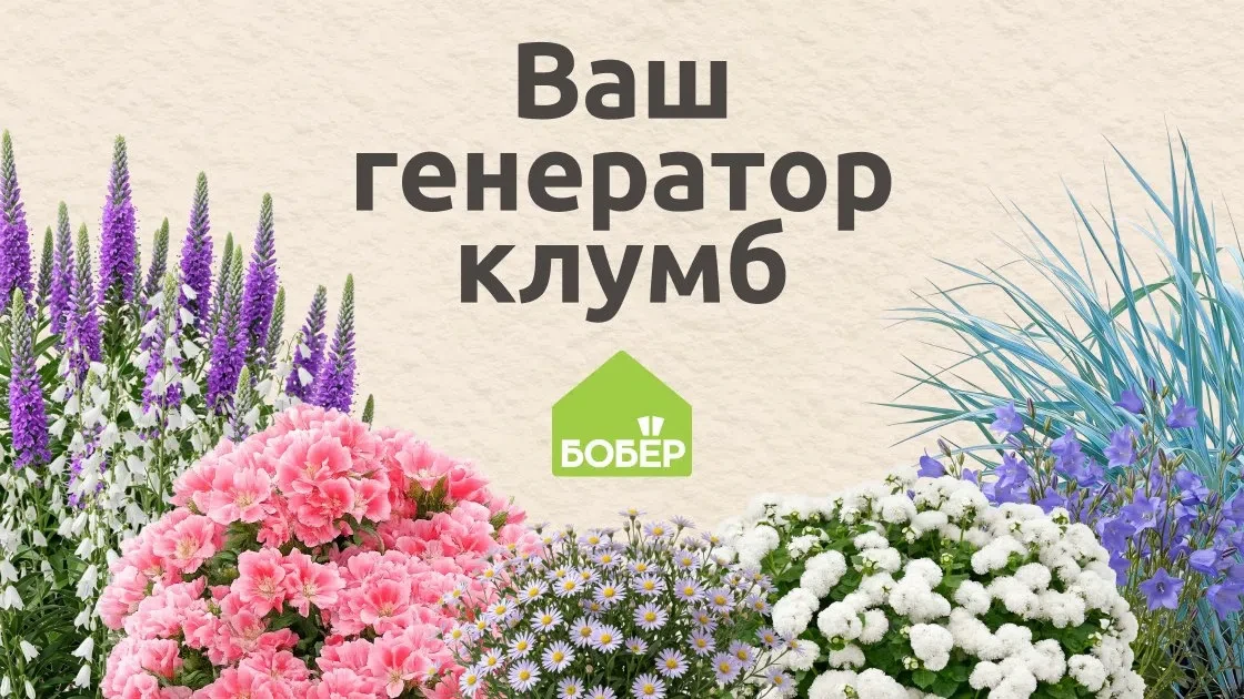 🌷 Создайте клумбу мечты за минуту! 🌷