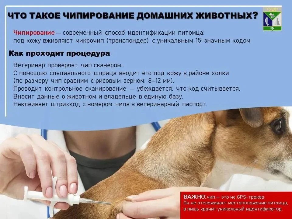 📋 Регистрация и учет домашних животных