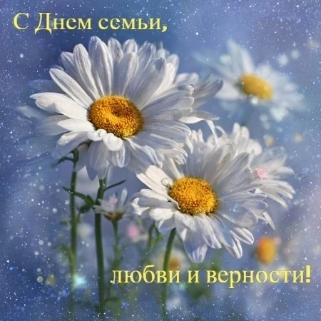 Дорогие наши родители, подписчики, учащиеся и педагоги! Мы искренне рады поздравить Вас с Днем семьи