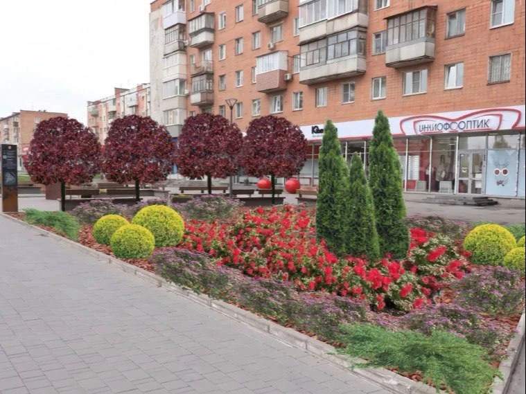 На Советской в Туле высадят более 10 тысяч растений