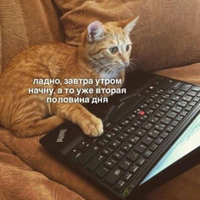 Почему подобрать себе шампунь - настоящая головоломка? 🤯

На мой взгляд, дело обстоит так🫡

➡️Шамп