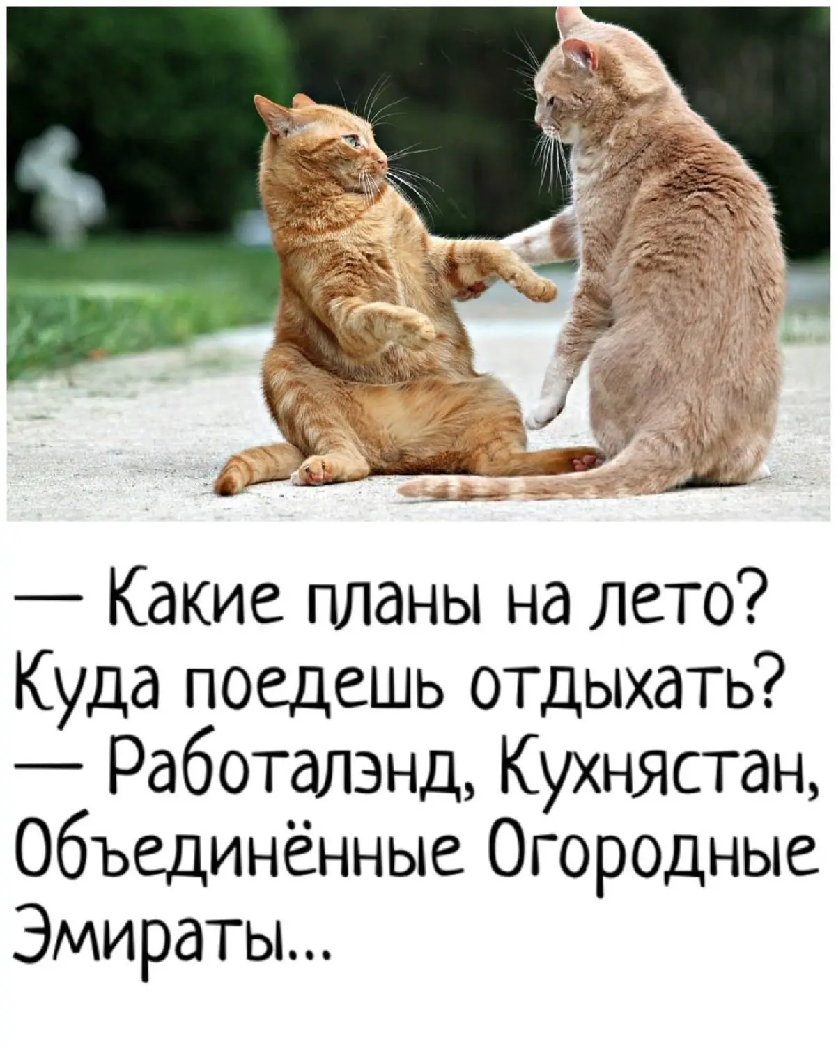 Юмор | Приколы | Мемы 👇🏻