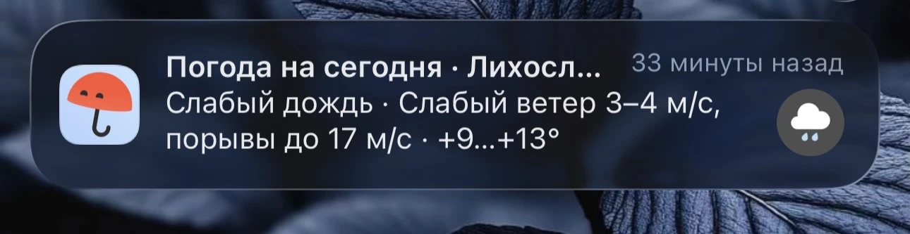 ☔️ Погода сегодня