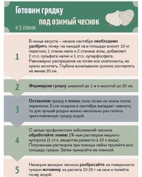 Готовим грядку под озимый чеснок 🧄