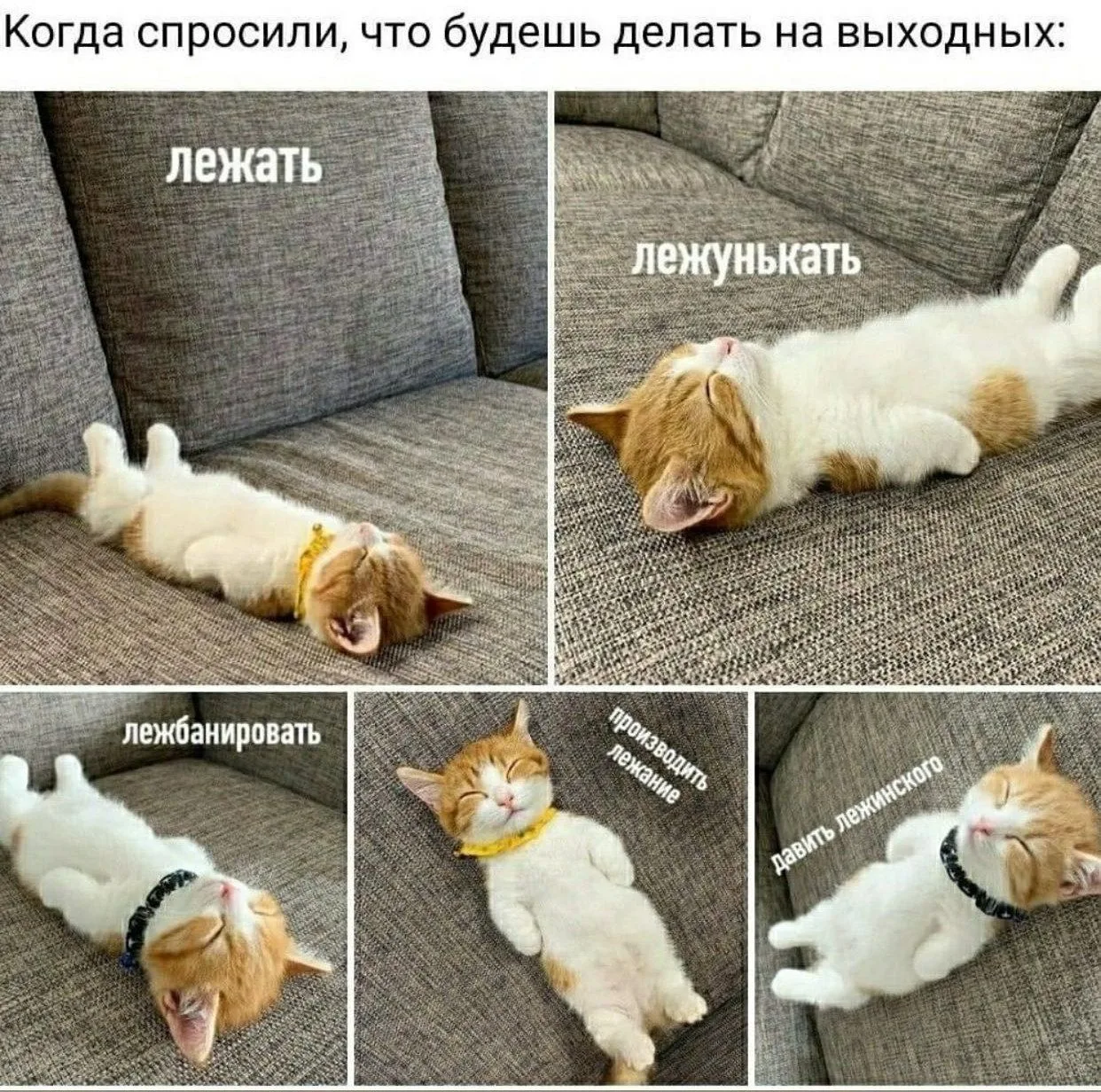 МемоБосс